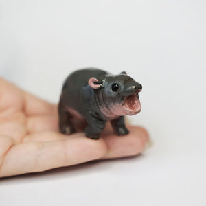 Baby hippo