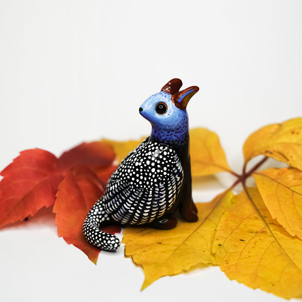 Guinea fowl cat