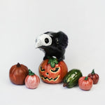 Crow with pumpkin