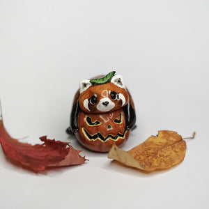 Red panda with pumpkin