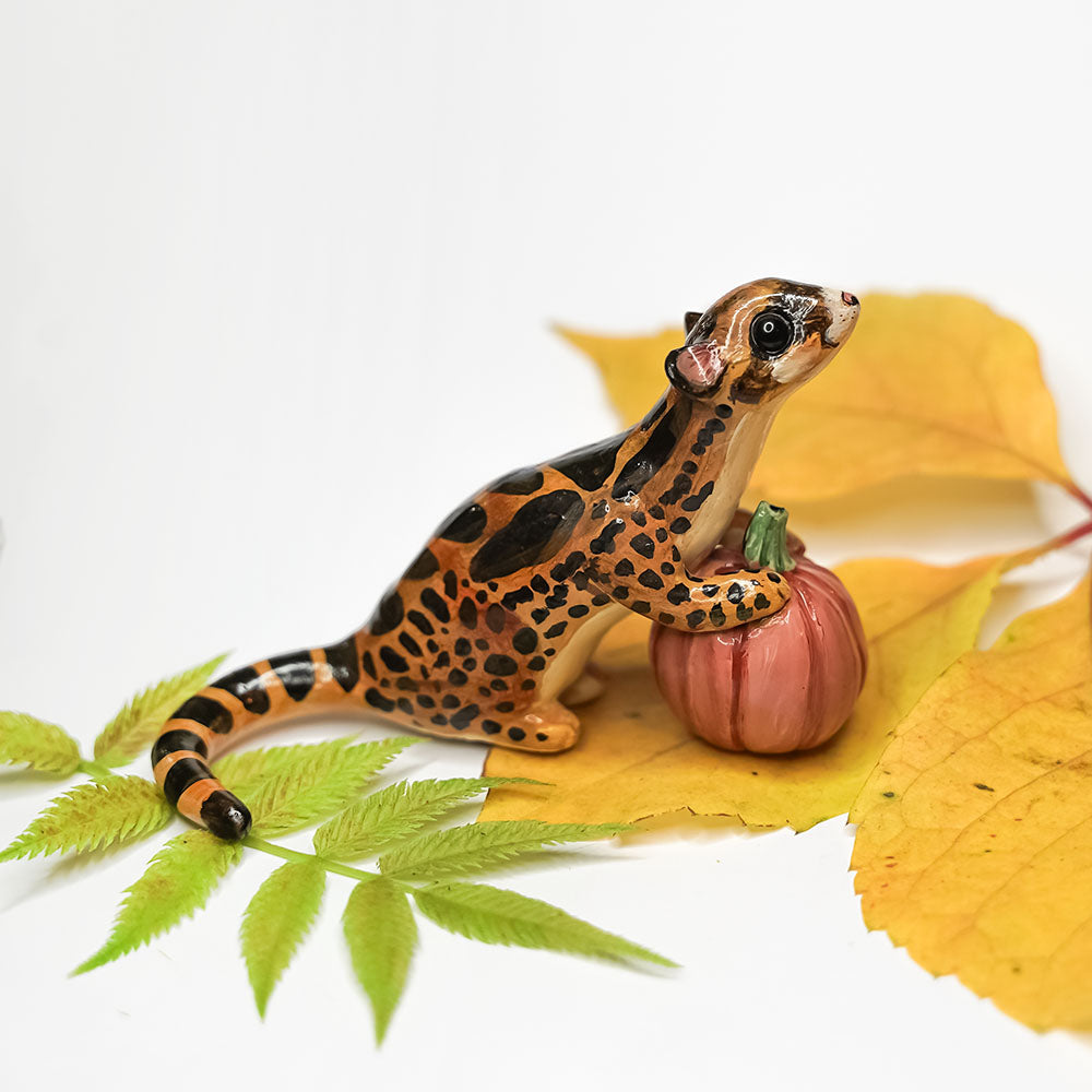 Lisang with pumpkin