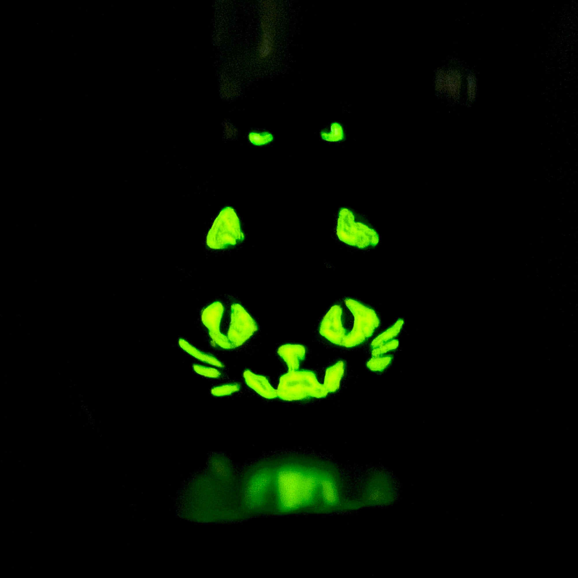 Black Cat - Pumpkin Slayer