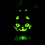 Black Cat - Pumpkin Slayer