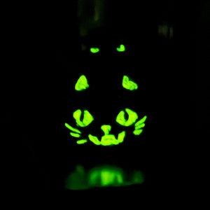 Black Cat - Pumpkin Slayer