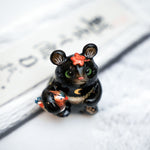 Black bear with Mandarin duck