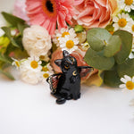 Black Catfly with pink butterfly wings