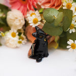 Black Catfly with pink butterfly wings