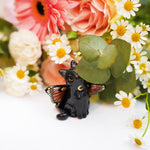 Black Catfly with pink butterfly wings