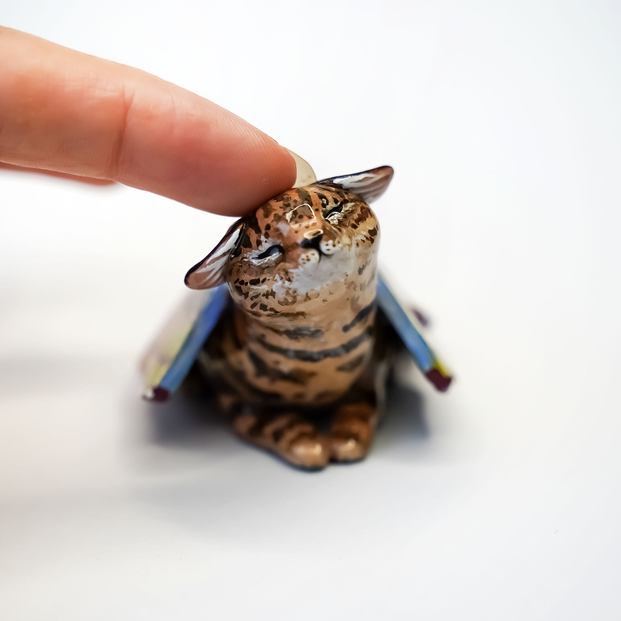 Black footed cat with butterfly wings