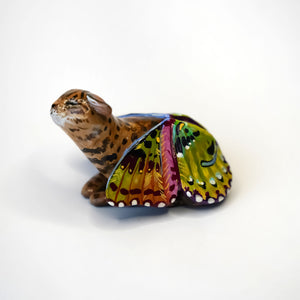 Black footed cat with butterfly wings