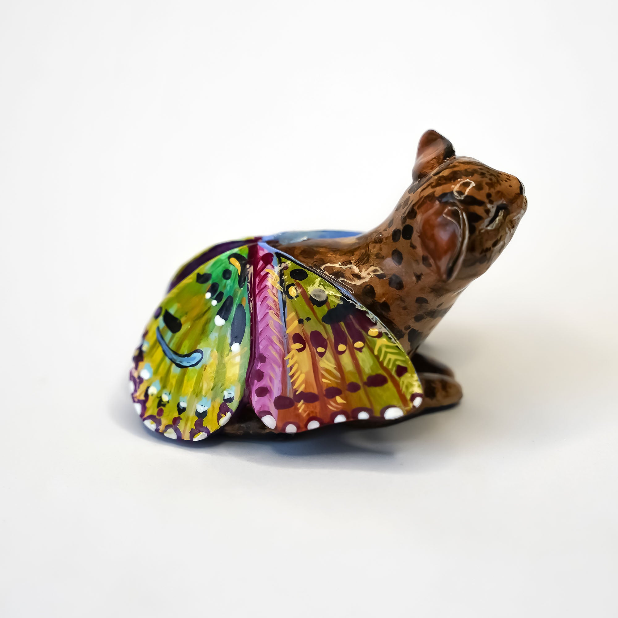 Black footed cat with butterfly wings