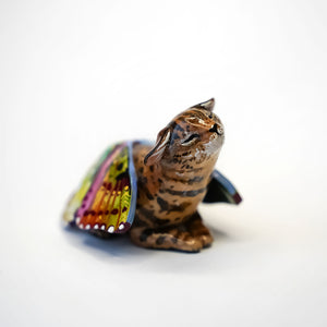 Black footed cat with butterfly wings