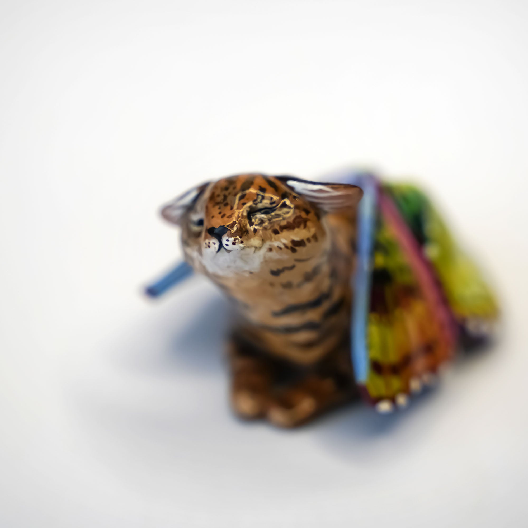 Black footed cat with butterfly wings