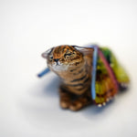 Black footed cat with butterfly wings