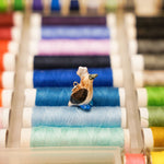 Blue-footed booby with a silver star pendant
