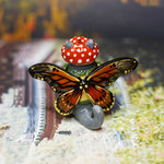 Mushroom picker British cat