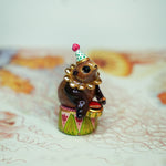 Cape Fur Seal Drummer