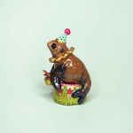 Cape Fur Seal Drummer