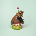 Cape Fur Seal Drummer