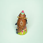 Cape Fur Seal Drummer