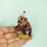 Cape Fur Seal Drummer