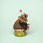 Cape Fur Seal Drummer