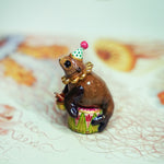 Cape Fur Seal Drummer