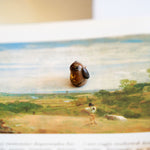 Chocolate bunny with a star pendant