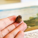 Chocolate bunny with a star pendant