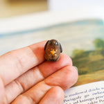 Chocolate bunny with a star pendant