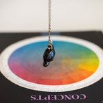 Crow with a silver moon pendant