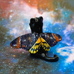 Death head black cat