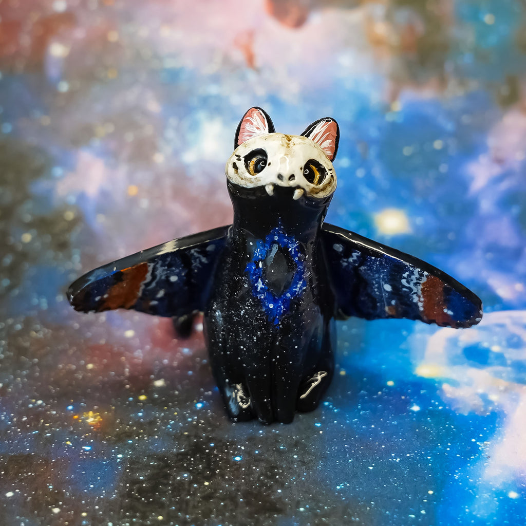 Death head black cat