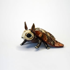 Death head moth