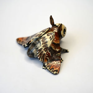 Death head moth