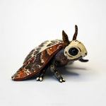Death head moth
