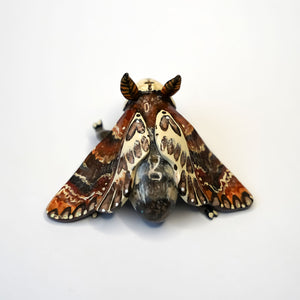 Death head moth