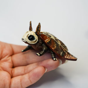 Death head moth