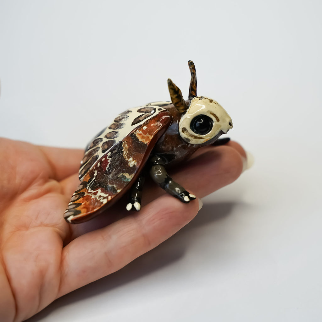 Death head moth