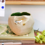 Ceramic flower pot with a stegosaurus