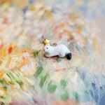 Ermine with a gold star pendant