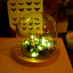 Catch fireflies - diorama with four Catflies