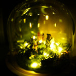 Catch fireflies - diorama with four Catflies