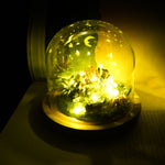 Catch fireflies - diorama with four Catflies