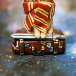 Hogwart's houses set