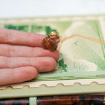 Highland cow with a gold star pendant