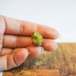 Kākāpō with a fern pendant