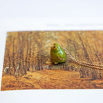 Kākāpō with a fern pendant