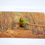 Kākāpō with a fern pendant