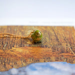 Kākāpō with a fern pendant